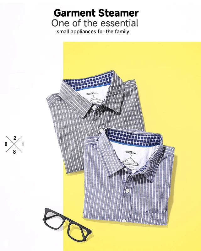 Portable Steamer Iron