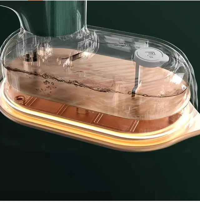 Portable Steamer Iron